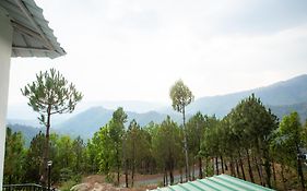 Blue Pine Orchards
